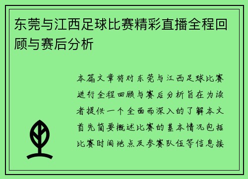 东莞与江西足球比赛精彩直播全程回顾与赛后分析
